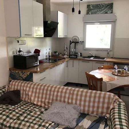 Logement Entier Entree Autonome Ch,Sdd,Cs Privatives Aussonne Exterior photo