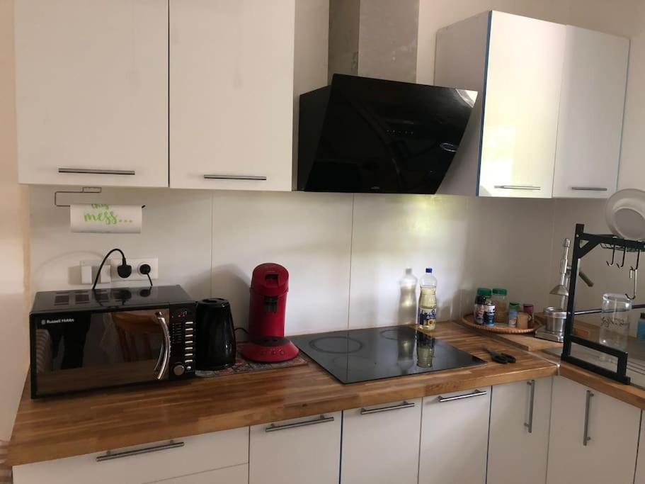 Logement Entier Entree Autonome Ch,Sdd,Cs Privatives Aussonne Exterior photo