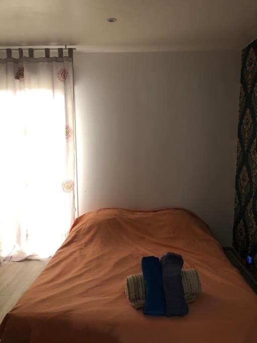 Logement Entier Entree Autonome Ch,Sdd,Cs Privatives Aussonne Exterior photo